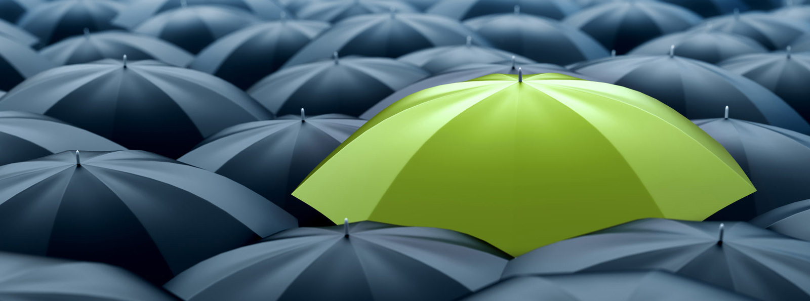 One green umbrella among black umbrellas.