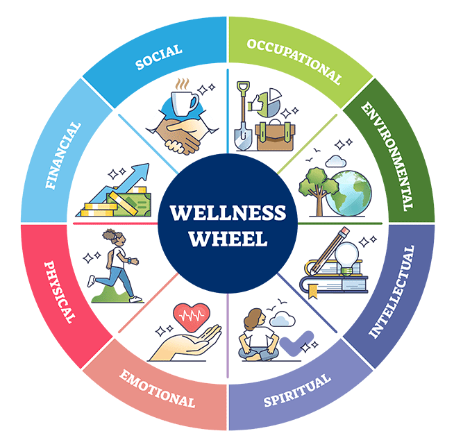 a chart showing the wellness wheel that includes Financial Health, Social, Physical, emotional, etc.